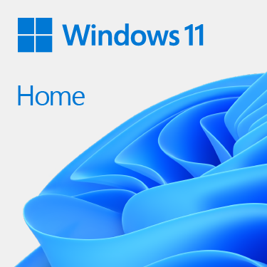 Microsoft Microsoft Windows11 Home64Bit DSP