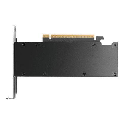 PNY NVIDIA RTX PRO 2000 Blackwell PCI-Express x16 Gen 5.0; 16 GB GDDR7 ECC 128-bit; Adapter 4x Mini DP 2.1b; dual slot. 70W