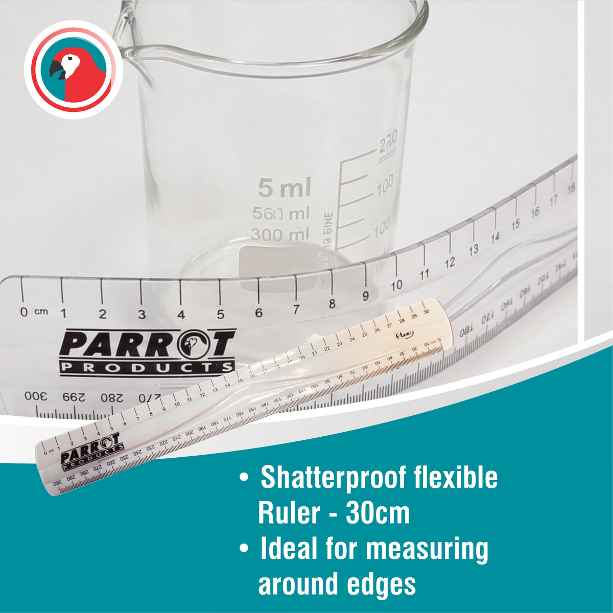 RULER FLEXIBLE 30CM CLEAR