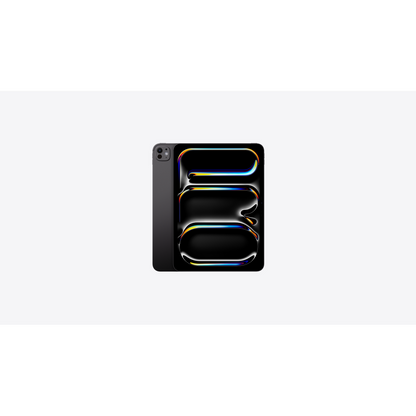 IPAD PRO 11 WIFI 256GB SBLK-ESE