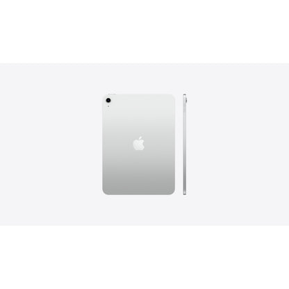11-INCH IPAD WI-FI 256GB - SILVER
